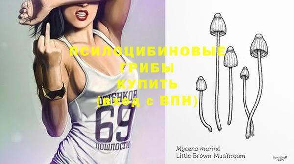 винт Вяземский