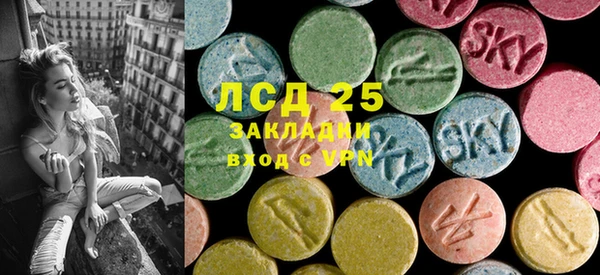 винт Вяземский