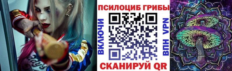 Галлюциногенные грибы Psilocybe  Северодвинск 